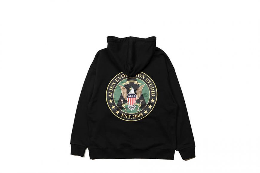 AES 18 AW AES Military Hoodie (2)