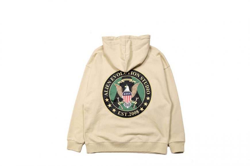 AES 18 AW AES Military Hoodie (6)