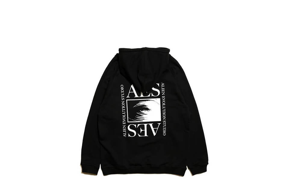 AES 19 SS Aes Logo Hoodie (4)