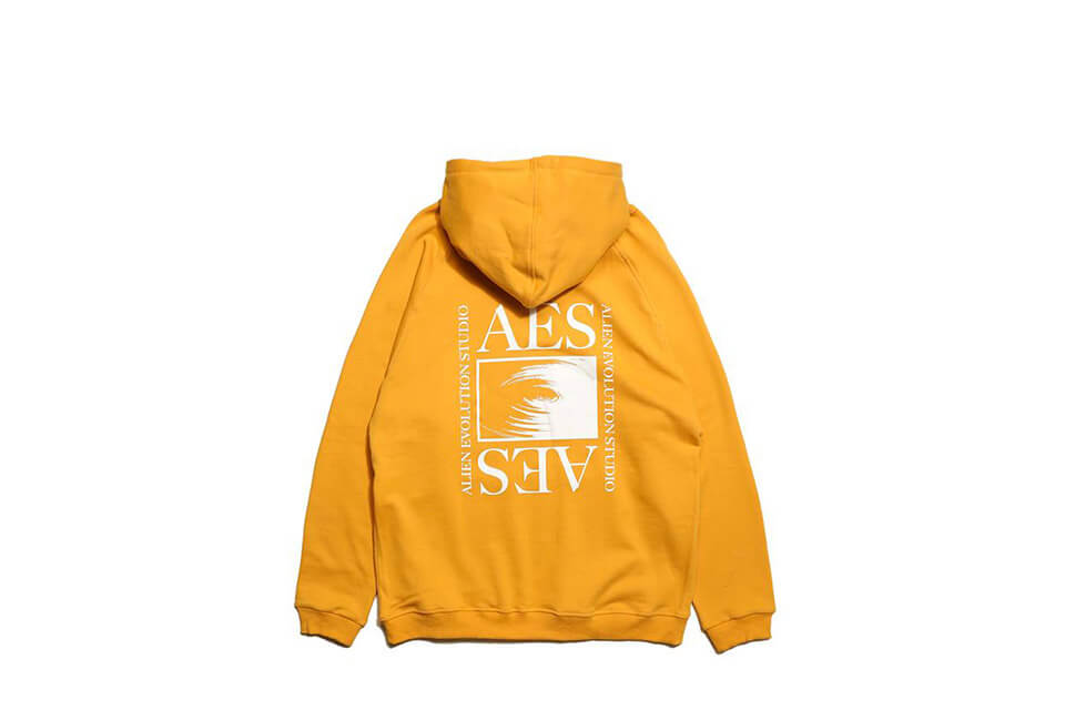 AES 19 SS Aes Logo Hoodie (6)