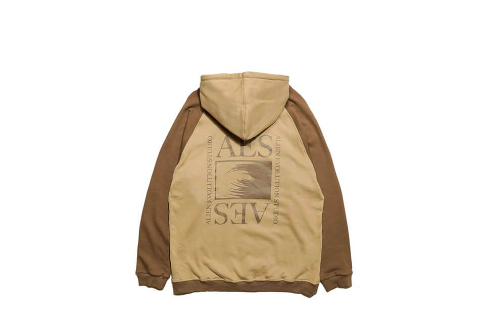 AES 19 SS Aes Logo Hoodie (8)