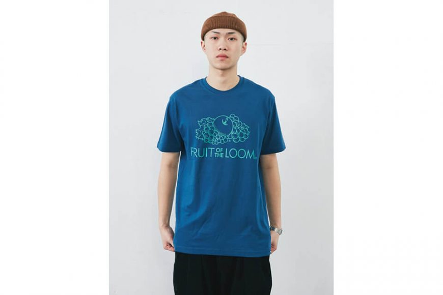 Fruit Of The Loom 19 SS AC-2100-LOGO T (11)