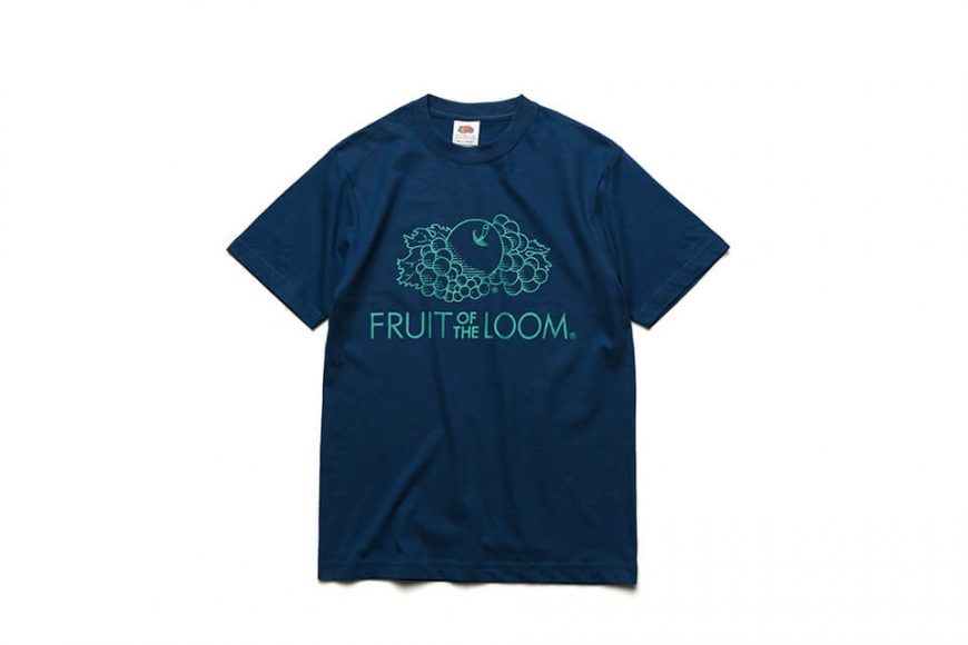 Fruit Of The Loom 19 SS AC-2100-LOGO T (12)