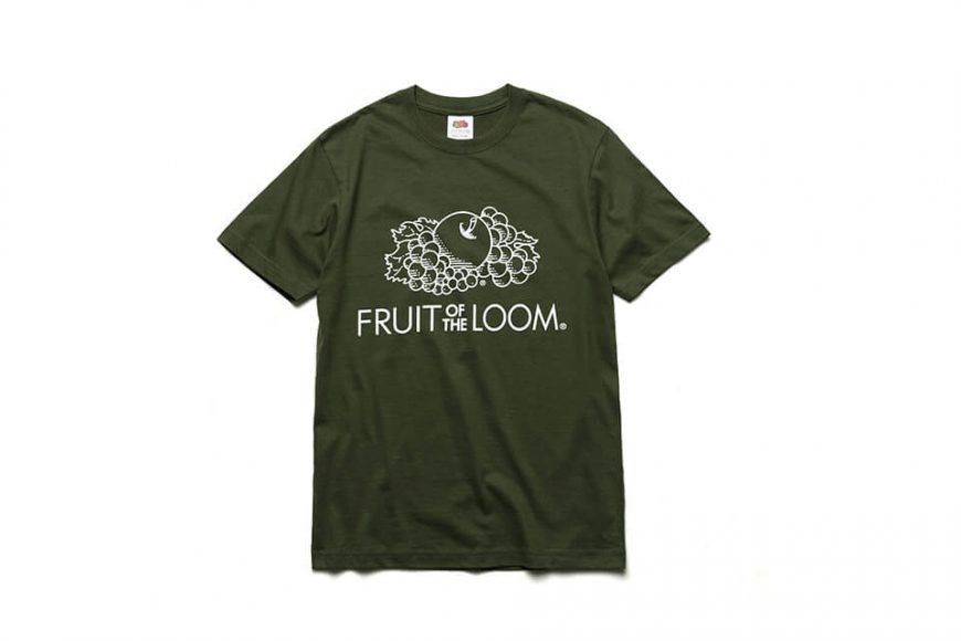 Fruit Of The Loom 19 SS AC-2100-LOGO T (6)