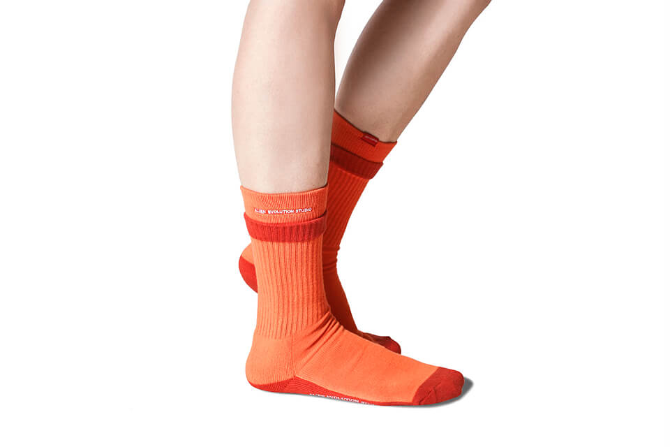 AES 19 SS AES x UGLY 2019 Socks (5)