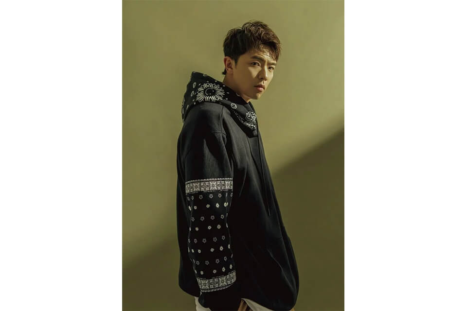 AES 20 SS Paisley Pullover (0)