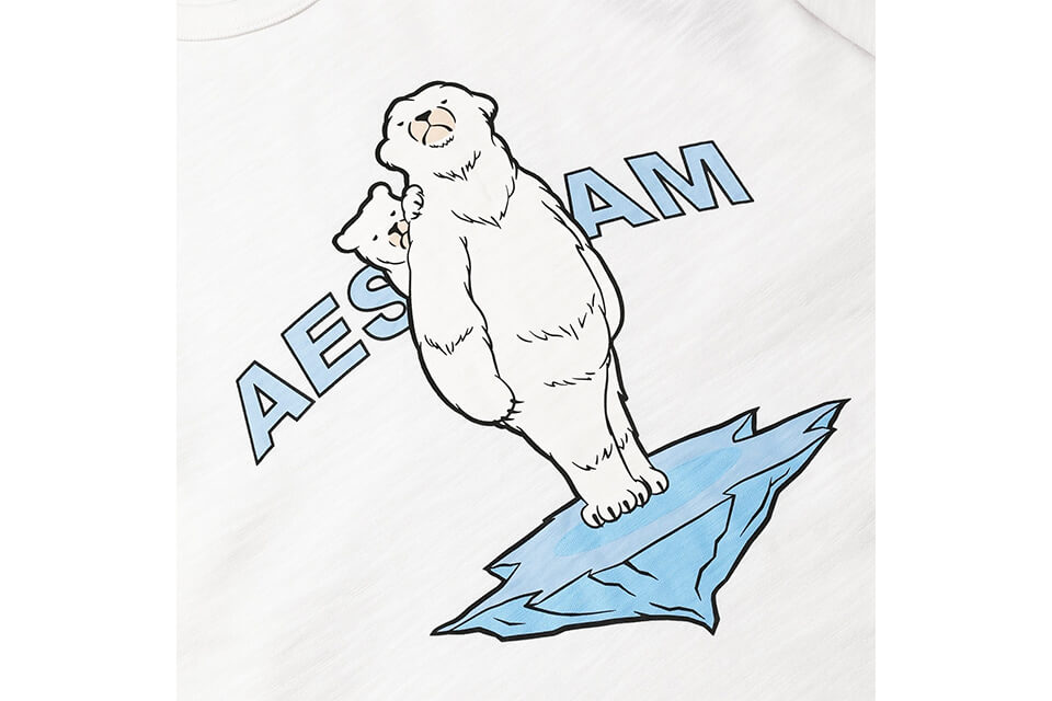 AES 20 SS Polar Bear Tee (4)