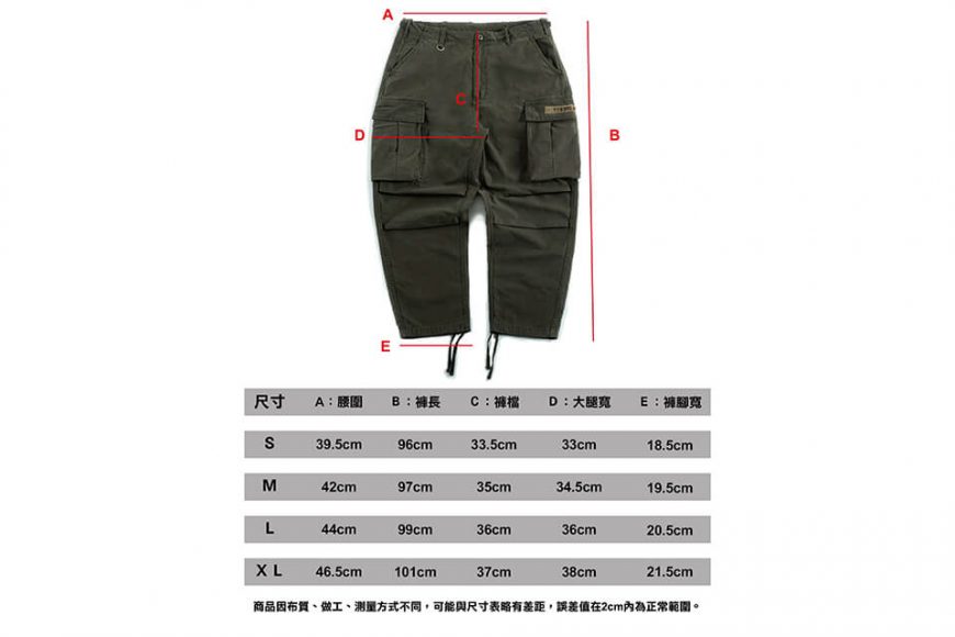 PERSEVERE 20 AW T.T.G. II Cargo Pants (24)
