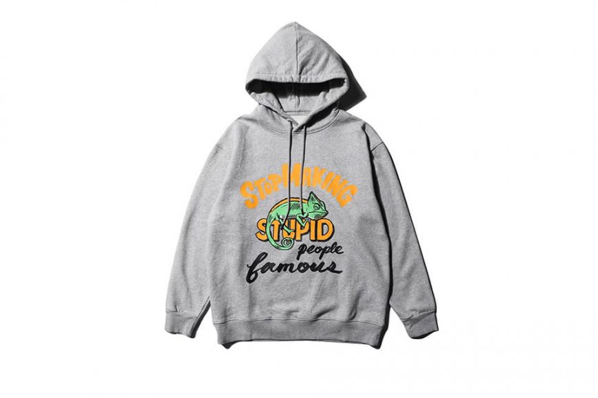 AES 20 AW Chameleon Hoodie (3)