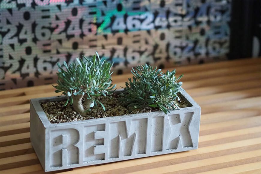 REMIX 20 AW Remix Potter Plants (20)