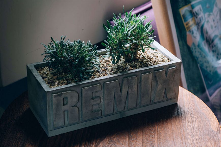 REMIX 20 AW Remix Potter Plants (4)
