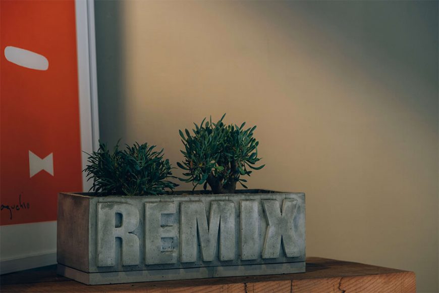 REMIX 20 AW Remix Potter Plants (5)