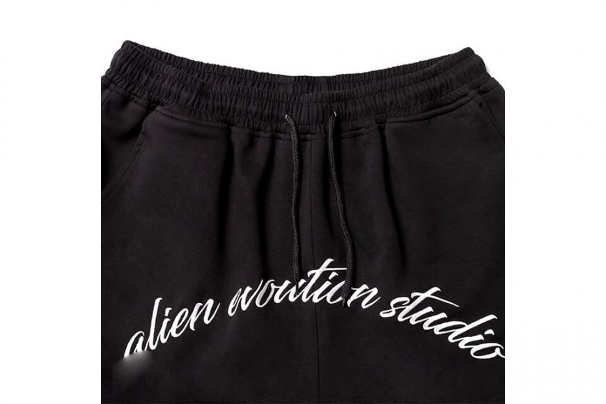 AES 22 SS Cursive Embroidery Shorts (3)