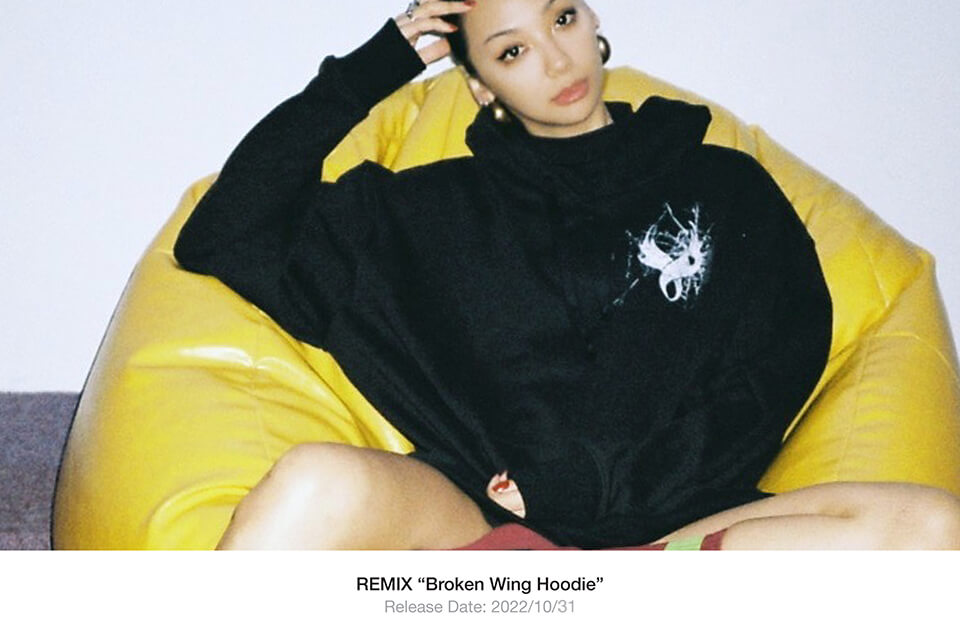 REMIX 22 AW Broken Wing Hoodie (1)