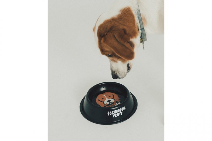 FORBIDDEN FRUIT® by AES 22 AW Beagle Pet Bowl (1)