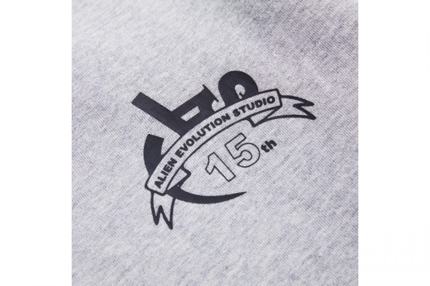 AES 23 AW 15th Anniversaey Hoodie (8)
