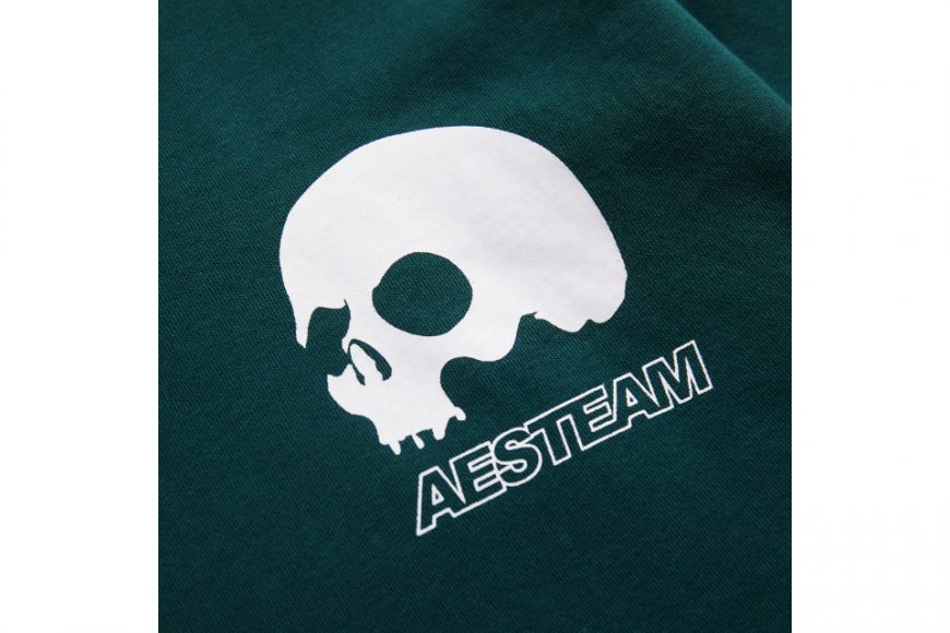 AES 23 AW Skull Logo Hoodie (15)