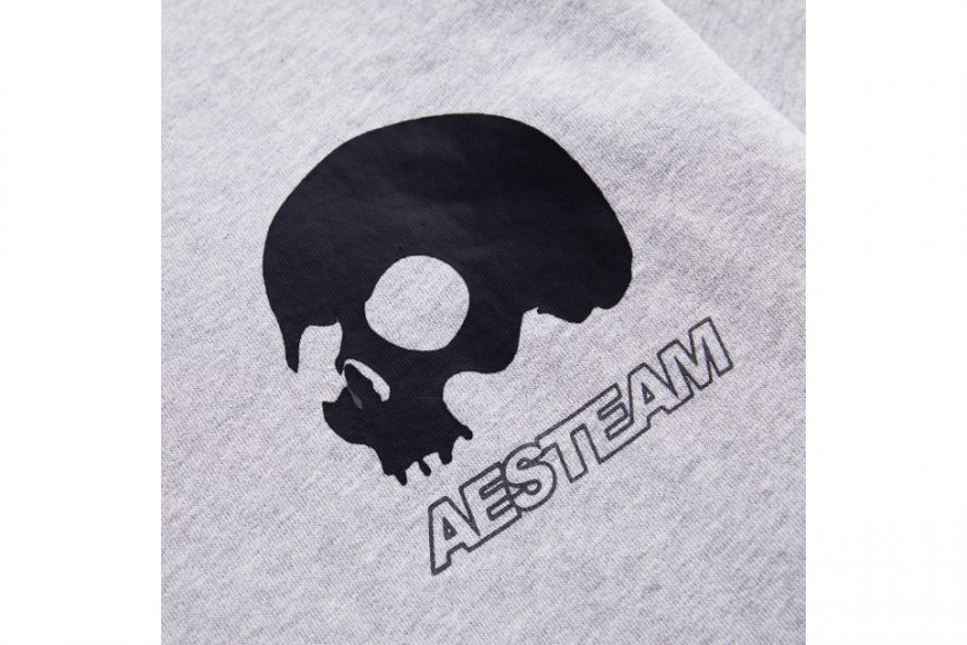 AES 23 AW Skull Logo Hoodie (9)
