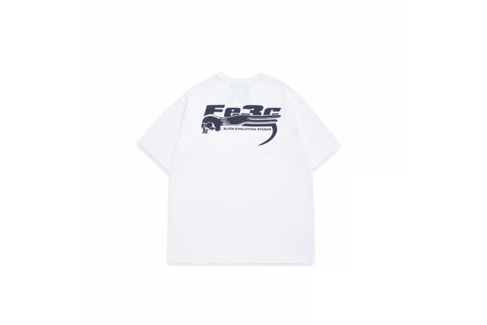 AES x Fe3c 24 SS Skull & F Stripped Tee (10)