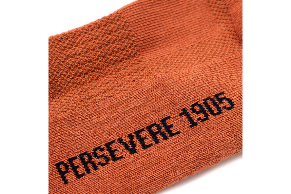 PERSEVERE 24 SS Classic Tab Authentic Socks (37)