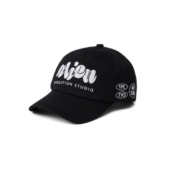 AES 24 AW AESDW Embroidery Baseball Cap (2)