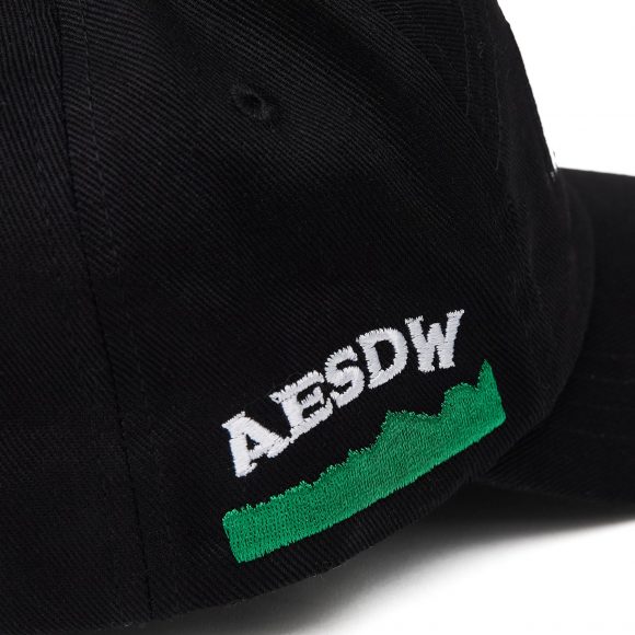 AES 24 AW AESDW Embroidery Baseball Cap (4)