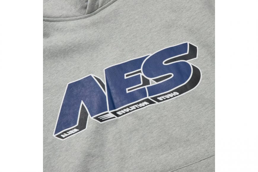 AES 24 AW 3D Font Hoodie (7)