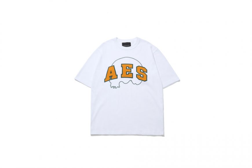 AES 24 AW Skull Logo Outline Tee (1)