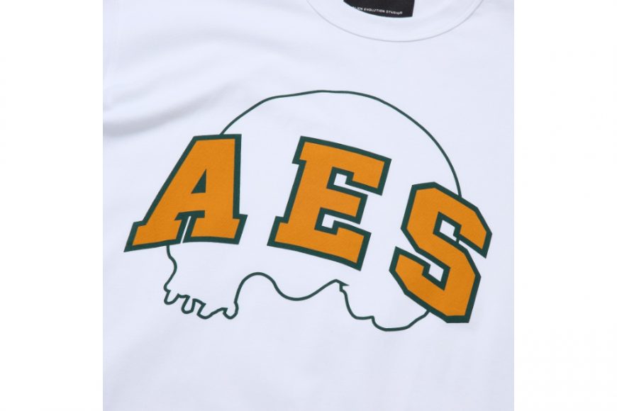 AES 24 AW Skull Logo Outline Tee (7)