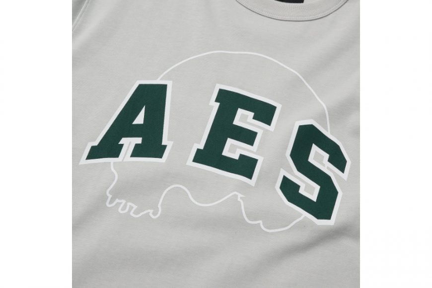 AES 24 AW Skull Logo Outline Tee (9)