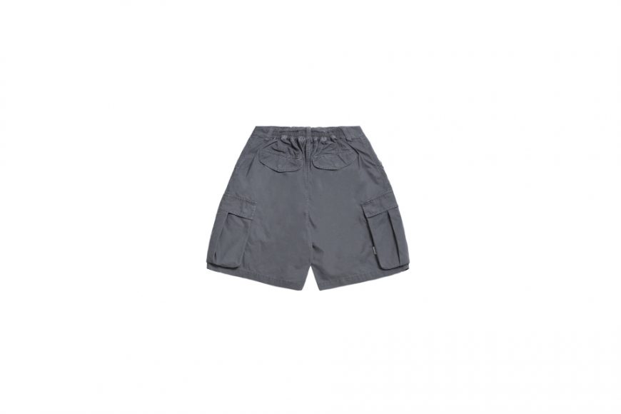 Washed Double-Pleated Cargo Shorts (15)
