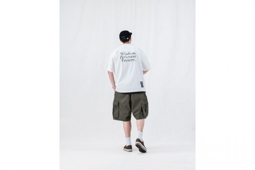 Washed Double-Pleated Cargo Shorts (6)