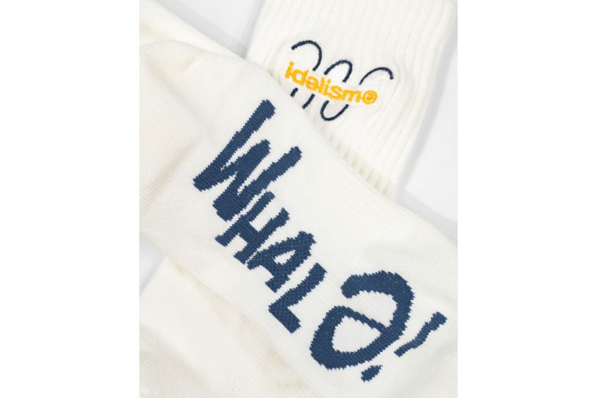 WHALe Sock (3)