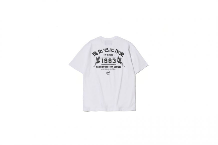 AES Unclassifiable Tee (10)
