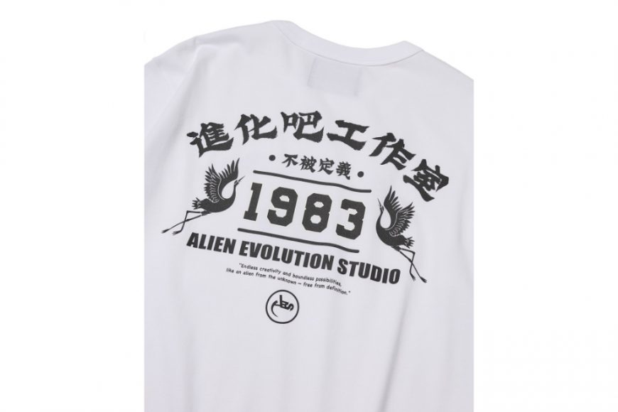 AES Unclassifiable Tee (12)
