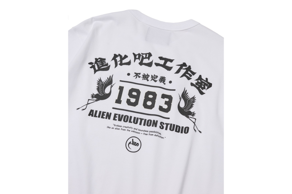 AES Unclassifiable Tee (12)