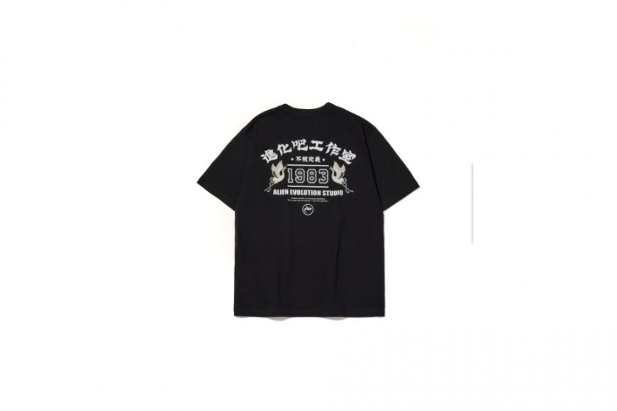 AES Unclassifiable Tee (6)