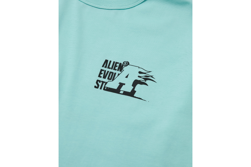 AES Burning a Tee (11)