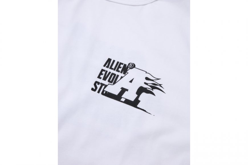 AES Burning a Tee (3)