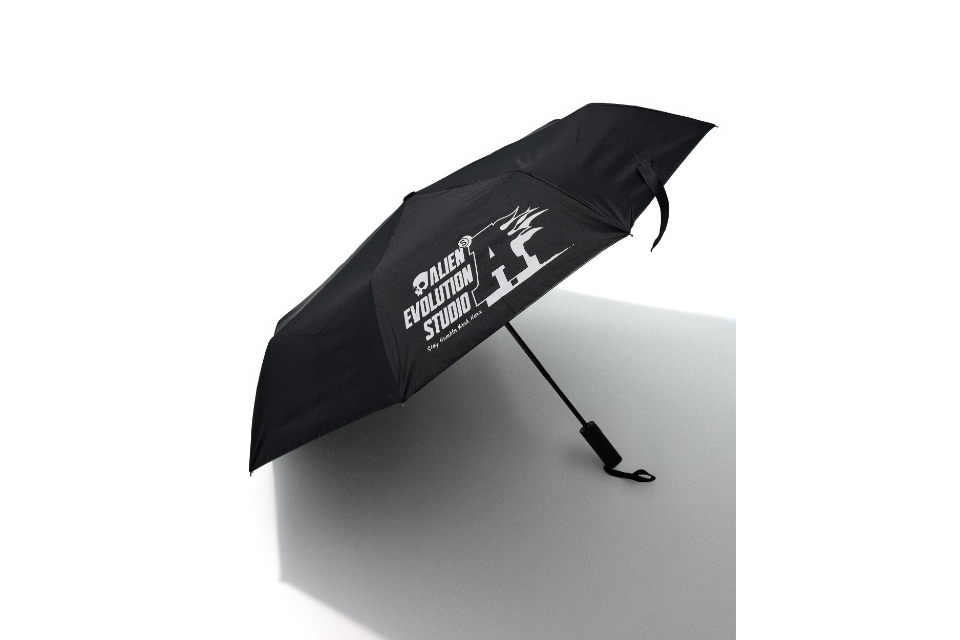 Automatic Umbrella (3)