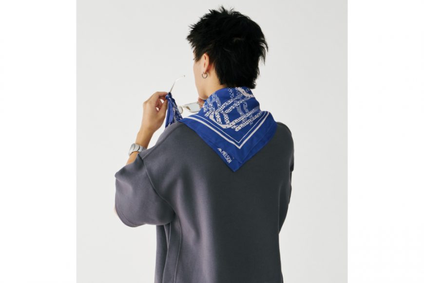 Clip Pattern Silk Bandana (10)