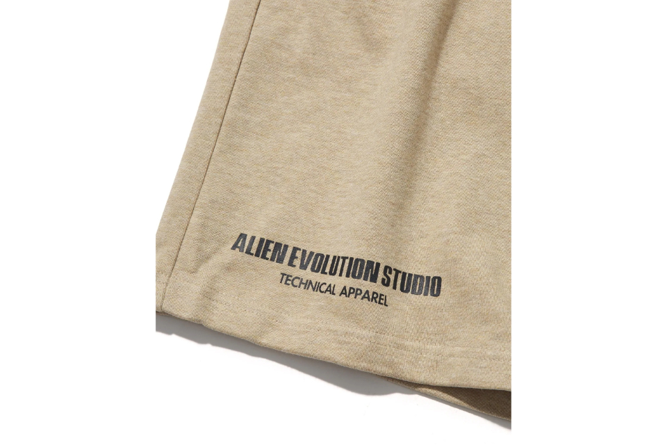 AES Relaxed Fit Cotton Shorts (20)