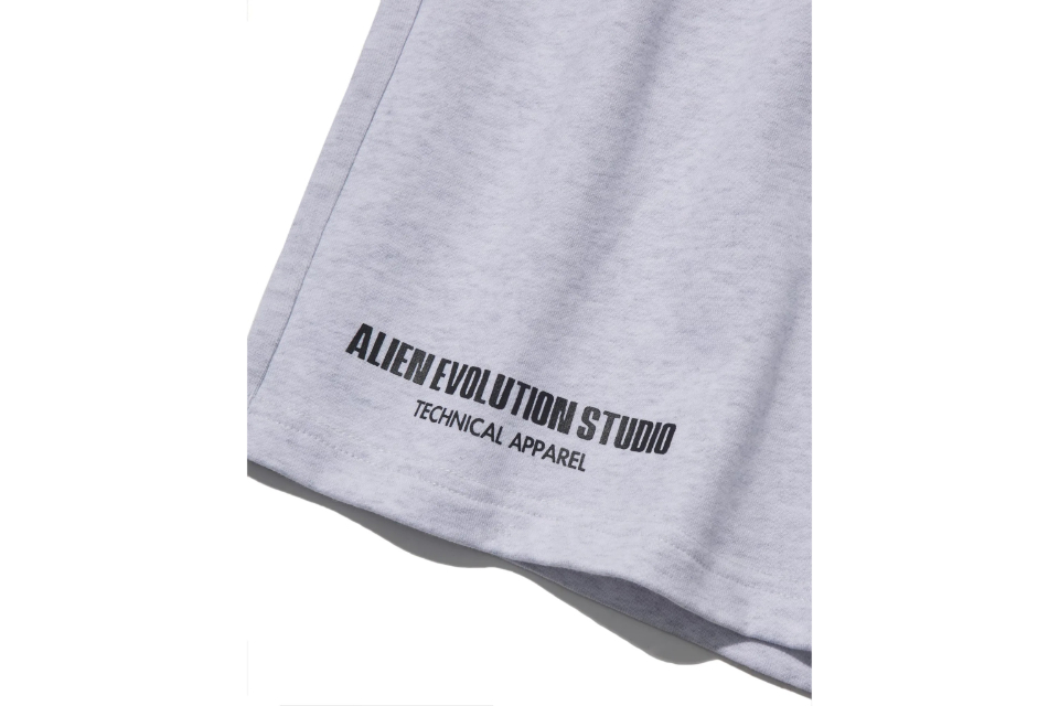 AES Relaxed Fit Cotton Shorts (8)