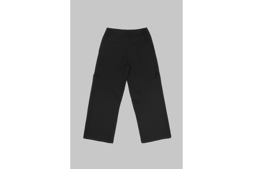 Pleated Trousers (2)