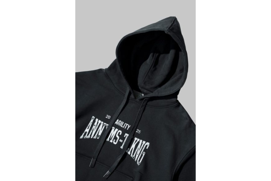 AA-HD1 Logo Hoodie (11)