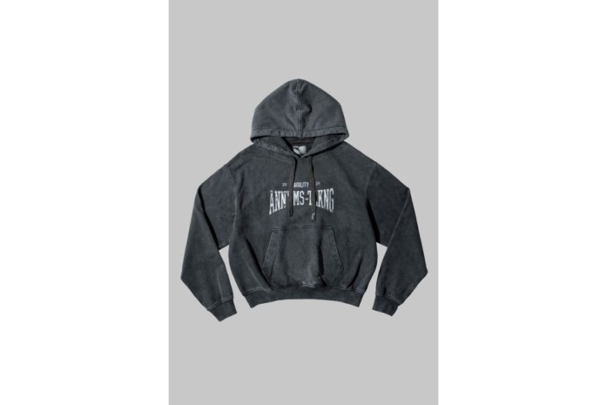 AA-HD1 Logo Hoodie (15)