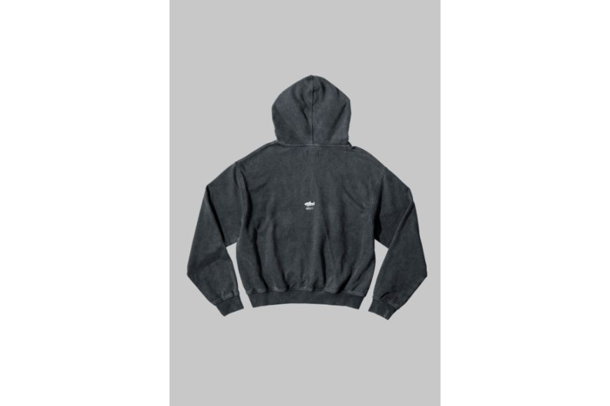 AA-HD1 Logo Hoodie (16)