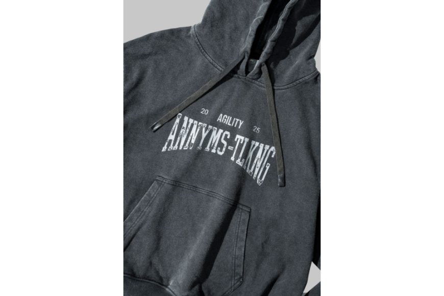 AA-HD1 Logo Hoodie (17)