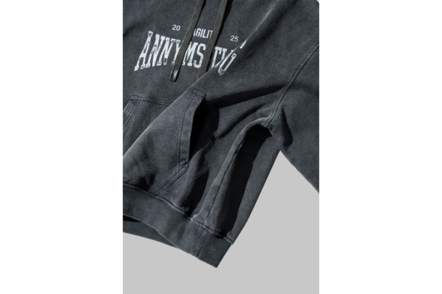 AA-HD1 Logo Hoodie (18)