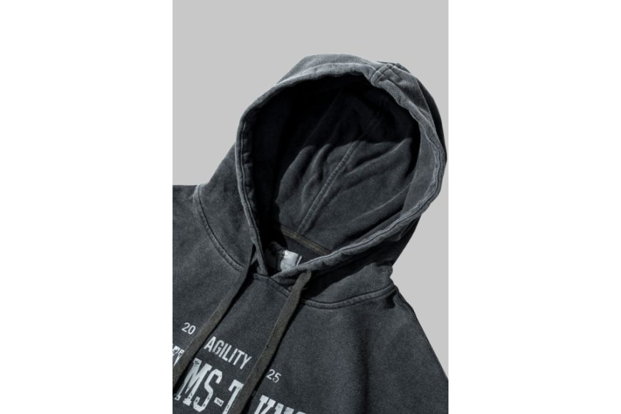 AA-HD1 Logo Hoodie (19)